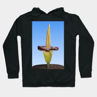 Magnificent Corpse Lily Hoodie